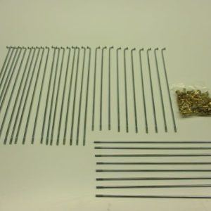 Spaken set 21” MTX AD04, HD06 (goudkleurige nippels!)