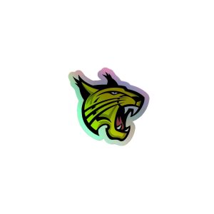 Holographic
